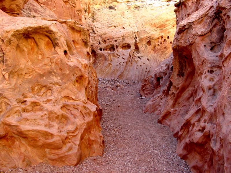 04160302LittleWildHorse (1080)